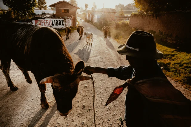 Looking into my archive these days, preparing something special.Perù is not just a destination, it’s a feeling that stays under your skin — the light, the textures, the silences, the people. Every frame there has a story that doesn’t need to shout.Next year I’m planning a BIG workshop/trip, something immersive, real, far from the usual routes. Not just photography, but experience. Living, observing, connecting.This image is a small piece of that world.
And I can’t wait to go back.Stay tuned 🌍📷 April 2027#peruphoto #reportagephotography #photoworkshop